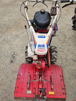 최도윤님의 작성글 사진