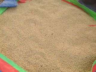 구봉갑산님의 자유주제 · 자유게시판 작성글 사진