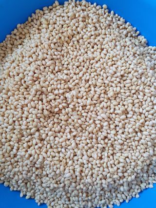 구봉갑산님의 자유주제 · 자유게시판 작성글 사진