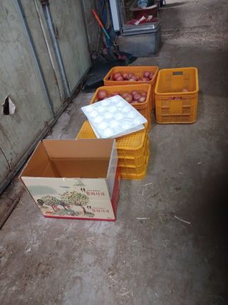 오임돈님의 우리동네 · 동네수다 작성글 사진