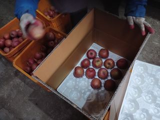 오임돈님의 우리동네 · 동네수다 작성글 사진