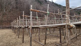 모든 보일러 설비님의 자유주제 · 자유게시판 작성글 사진