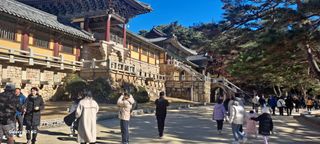 사천시향촌동 돼지띠님의 자유주제 · 자유게시판 작성글 사진