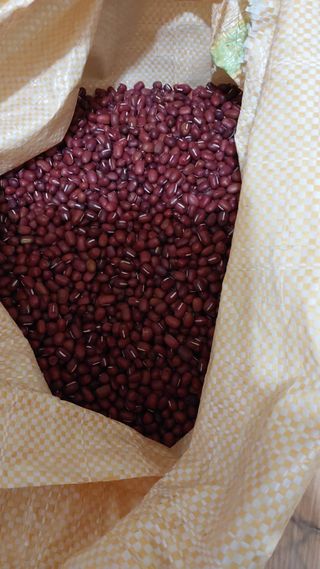 손경식님의 작성글 사진