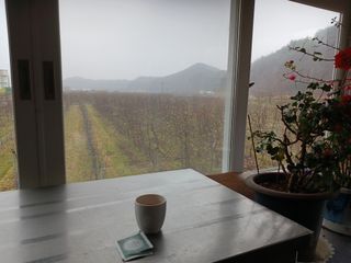 오임돈님의 자유주제 · 자유게시판 작성글 사진