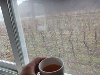 오임돈님의 자유주제 · 자유게시판 작성글 사진