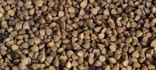 양승갑님의 농사, 무엇이든 물어보세요! · 참여글 작성글 사진