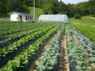 SOUL님의 자유주제 · 자유게시판 작성글 사진