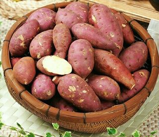 SOUL님의 자유주제 · 자유게시판 작성글 사진