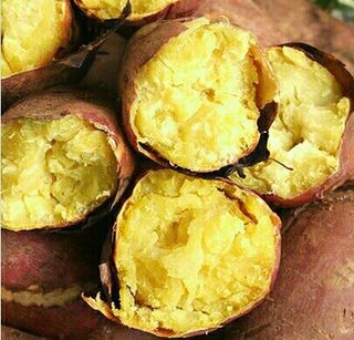 SOUL님의 자유주제 · 자유게시판 작성글 사진