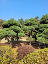 팜모닝 기타작물·자유게시판 게시글 이미지