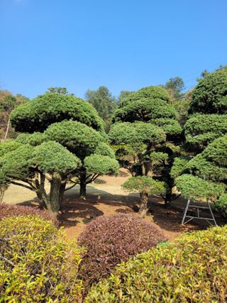 자연인유진님의 기타작물 · 자유게시판 작성글 사진