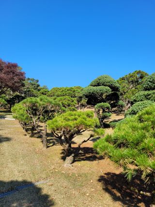 자연인유진님의 기타작물 · 자유게시판 작성글 사진