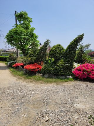 자연인유진님의 기타작물 · 자유게시판 작성글 사진