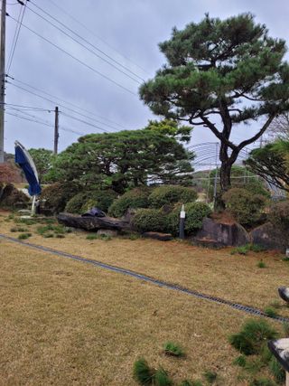 자연인유진님의 기타작물 · 자유게시판 작성글 사진