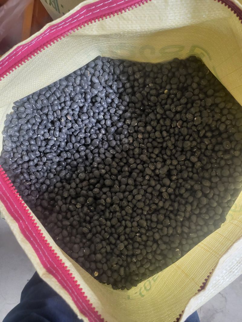 장터 상품 [서리태8k] 썸네일