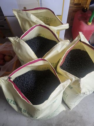 형설농원 정순정님의 작성글 사진