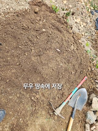 연모 자연의행복님의 기타작물 · 자유게시판 작성글 사진