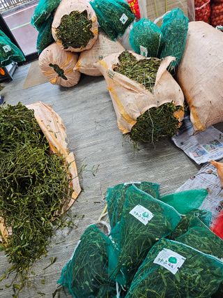 배추5999님의 작성글 사진