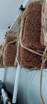 팜모닝 들깨·영농일지 게시글 이미지