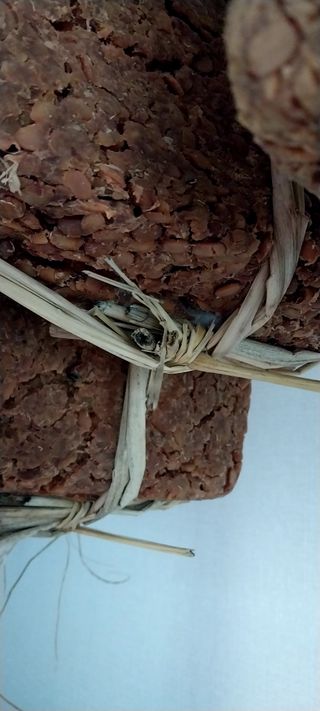 류남열님의 들깨 · 영농일지 작성글 사진