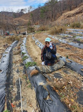 고영희님의 농사, 무엇이든 물어보세요! · 참여글 작성글 사진