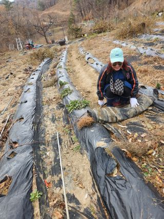 고영희님의 농사, 무엇이든 물어보세요! · 참여글 작성글 사진