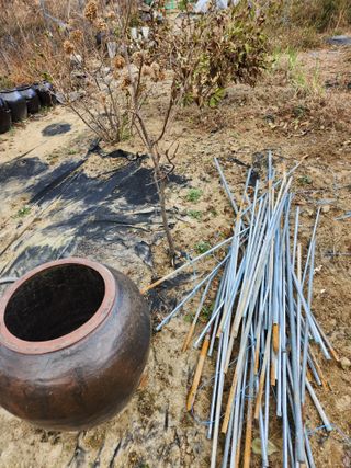 고영희님의 농사, 무엇이든 물어보세요! · 참여글 작성글 사진