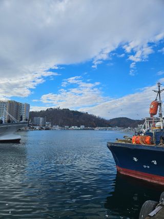 노가네수산님의 우리동네 · 동네정보 작성글 사진