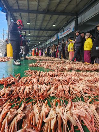 노가네수산님의 우리동네 · 동네정보 작성글 사진