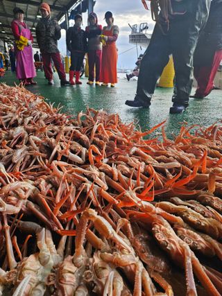 노가네수산님의 우리동네 · 동네정보 작성글 사진