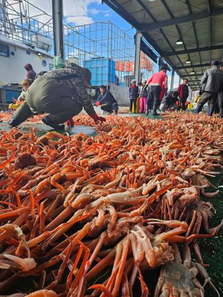 노가네수산님의 우리동네 · 동네정보 작성글 사진