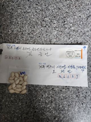 오정민님의 호박 · 자유게시판 작성글 사진