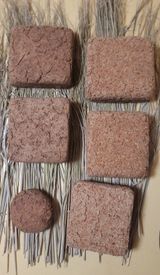 팜모닝 농사, 무엇이든 물어보세요!·참여글 게시글 이미지