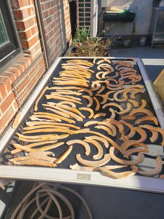 박산숙농부님의 자유주제 · 자유게시판 작성글 사진