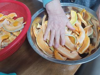 박산숙농부님의 자유주제 · 자유게시판 작성글 사진