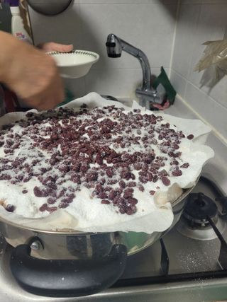 박산숙농부님의 자유주제 · 자유게시판 작성글 사진