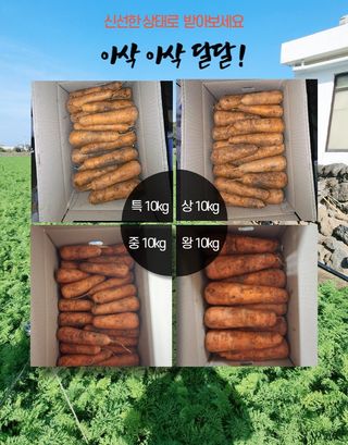 김태환님의 작성글 사진