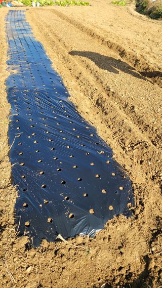 장선영님의 자유주제 · 자유게시판 작성글 사진