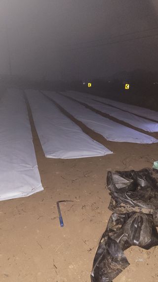 장선영님의 자유주제 · 자유게시판 작성글 사진