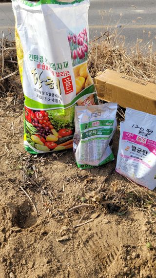 장선영님의 자유주제 · 자유게시판 작성글 사진