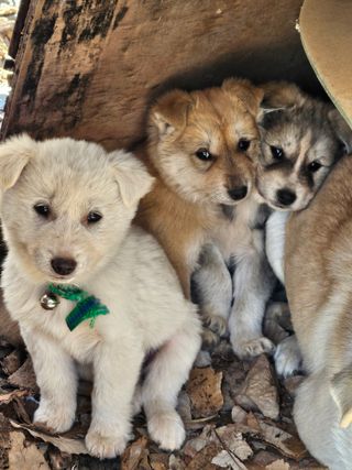 석광님의 우리동네 · 무료나눔 작성글 사진