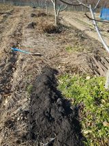 팜모닝 자유주제·자유게시판 게시글 이미지