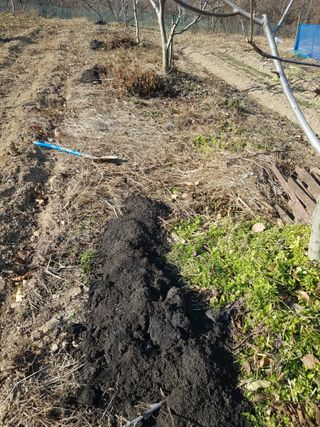 정석구님의 자유주제 · 자유게시판 작성글 사진