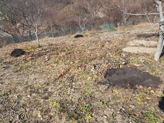 정석구님의 자유주제 · 자유게시판 작성글 사진