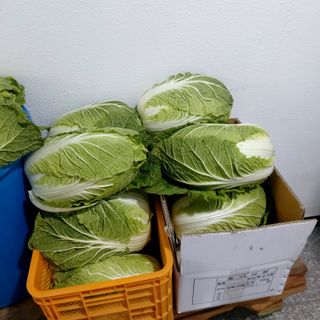 권세민님의 12월 내 작물 자랑하기 · 참여글 작성글 사진