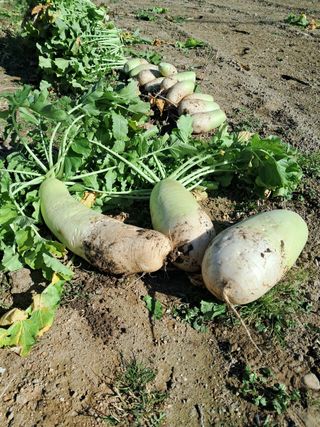 산청아들셋맘박홍점님의 자유주제 · 자유게시판 작성글 사진