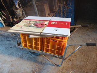 오임돈님의 우리동네 · 동네수다 작성글 사진