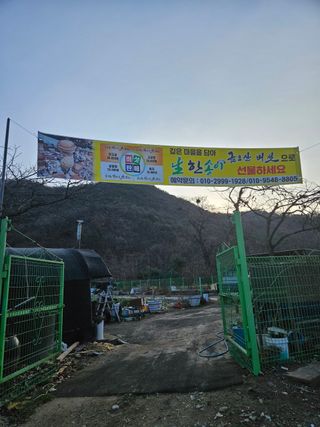 시금치6781님의 12월 내 작물 자랑하기 · 참여글 작성글 사진