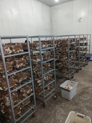 시금치6781님의 12월 내 작물 자랑하기 · 참여글 작성글 사진